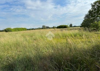 Terreno agricolo Via Giuseppe Mazzini, Corbetta - foto 5