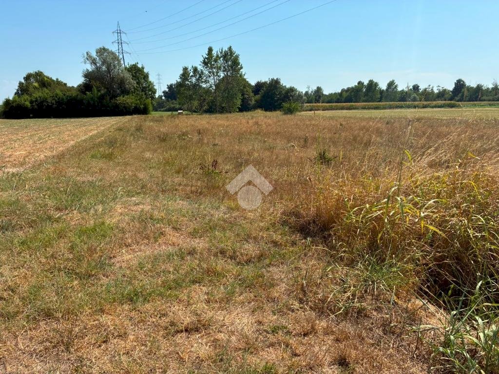 Terreno agricolo Cascina Cantona, Corbetta - foto 2