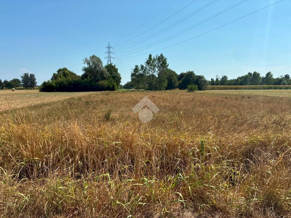 Terreno agricolo Cascina Cantona, Corbetta - foto 3