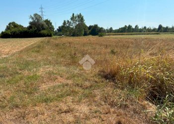 Terreno agricolo Cascina Cantona, Corbetta - foto 2