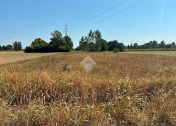 Terreno agricolo Cascina Cantona, Corbetta - foto 3