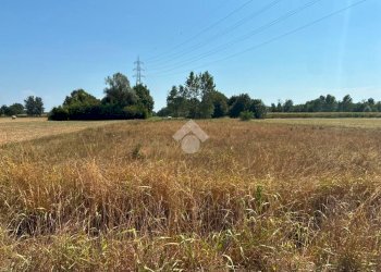 Terreno agricolo Cascina Cantona, Corbetta - foto 4