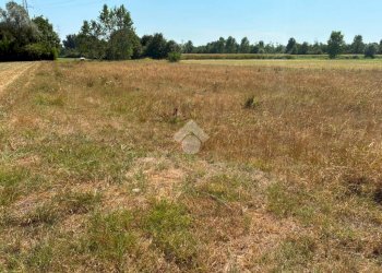 Terreno agricolo Cascina Cantona, Corbetta - foto 5