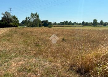Terreno agricolo Cascina Cantona, Corbetta - foto 6