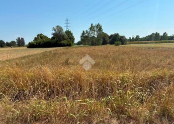 Terreno agricolo Cascina Cantona, Corbetta - foto 7