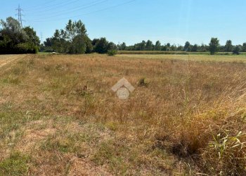 Terreno agricolo Cascina Cantona, Corbetta - foto 8