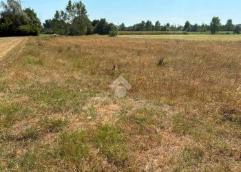 Terreno agricolo Cascina Cantona, Corbetta - foto 10