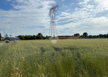 Terreno agricolo Via Mazzini, Corbetta - foto 5