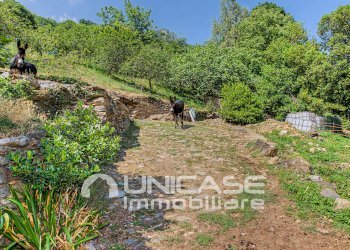 Rustic Borgata Barnaud, 3, Villar Pellice - photo 36