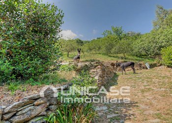 Rustic Borgata Barnaud, 3, Villar Pellice - photo 37