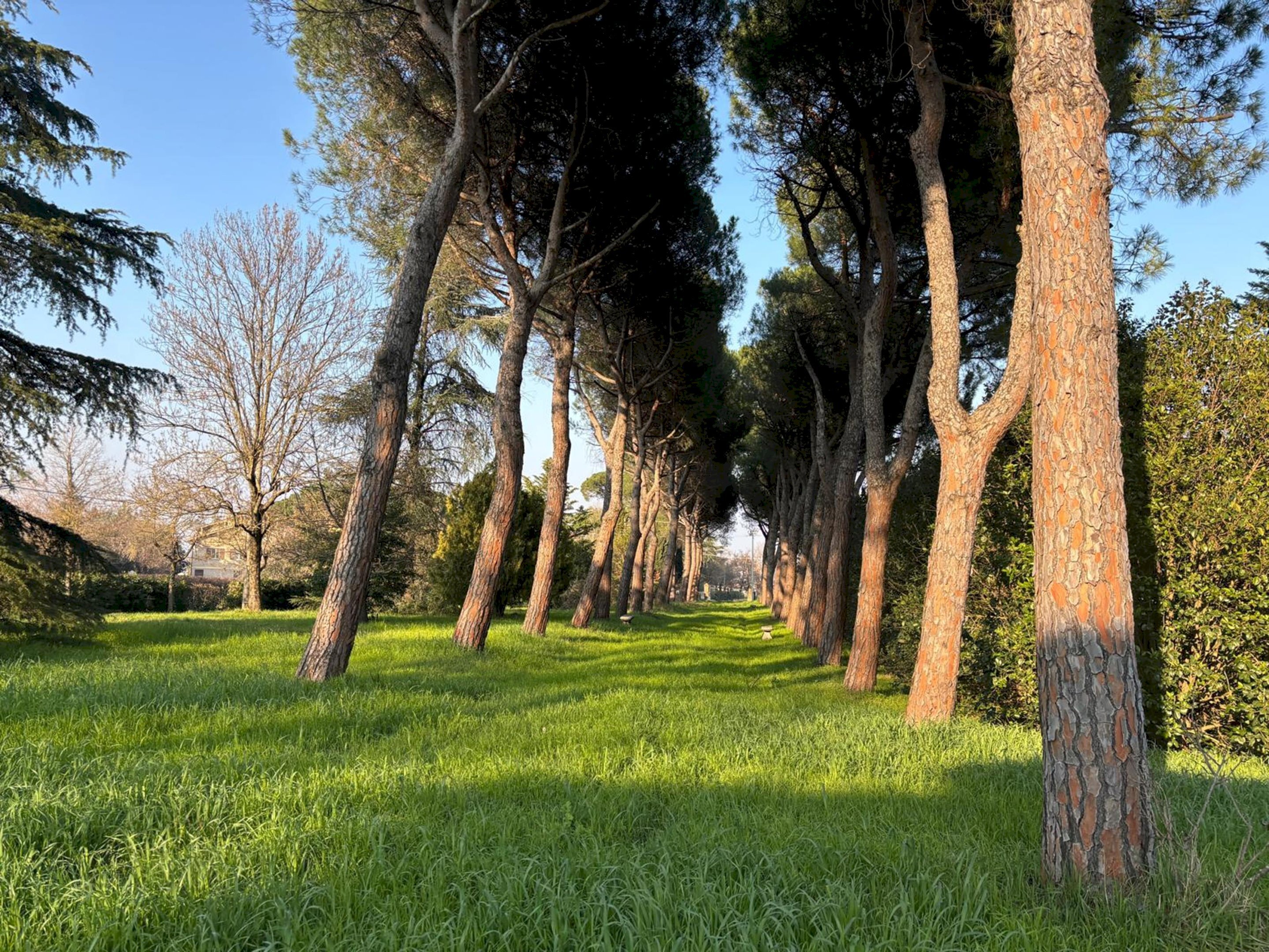 INGRESSO - Villa Bifamiliare Via del Pino, 5, Ozzano dell'Emilia - foto 2