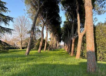 INGRESSO - Semi-detached Villa Via del Pino, 5, Ozzano dell'Emilia - photo 2