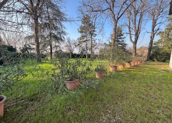 GIARDINO - Semi-detached Villa Via del Pino, 5, Ozzano dell'Emilia - photo 6