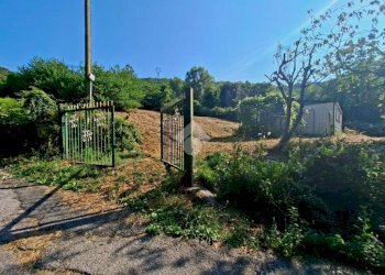 Terreno agricolo Via andrea gallino, Mignanego - foto 4