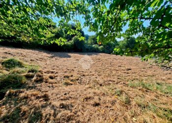 Terreno agricolo Via andrea gallino, Mignanego - foto 5