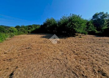 Terreno agricolo Via andrea gallino, Mignanego - foto 6