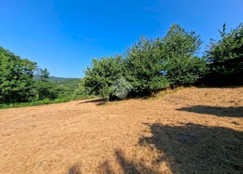 Terreno agricolo Via andrea gallino, Mignanego - foto 7