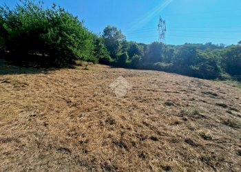 Terreno agricolo Via andrea gallino, Mignanego - foto 9