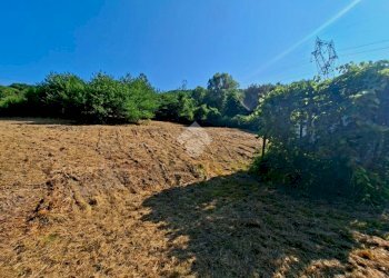 Terreno agricolo Via andrea gallino, Mignanego - foto 10