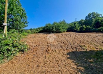 Terreno agricolo Via andrea gallino, Mignanego - foto 12