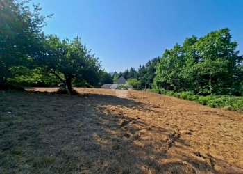Terreno agricolo Via andrea gallino, Mignanego - foto 13