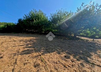Terreno agricolo Via andrea gallino, Mignanego - foto 14