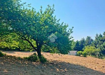 Terreno agricolo Via andrea gallino, Mignanego - foto 15