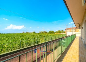 Capannone Carmagnola - foto 13