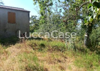 Casale Terricciola - foto 6