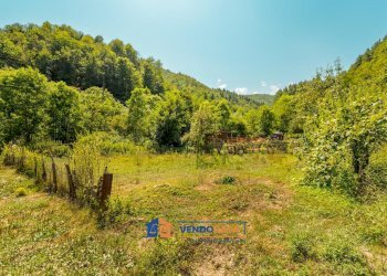 Casa indipendente Borgo San Dalmazzo - foto 18