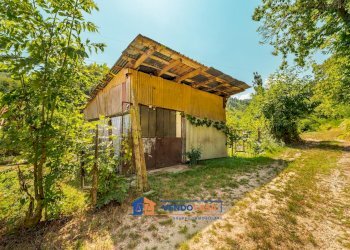 Casa indipendente Borgo San Dalmazzo - foto 19