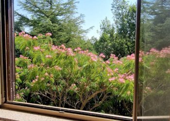 Foto 76 - Villa Mioglia - photo 76