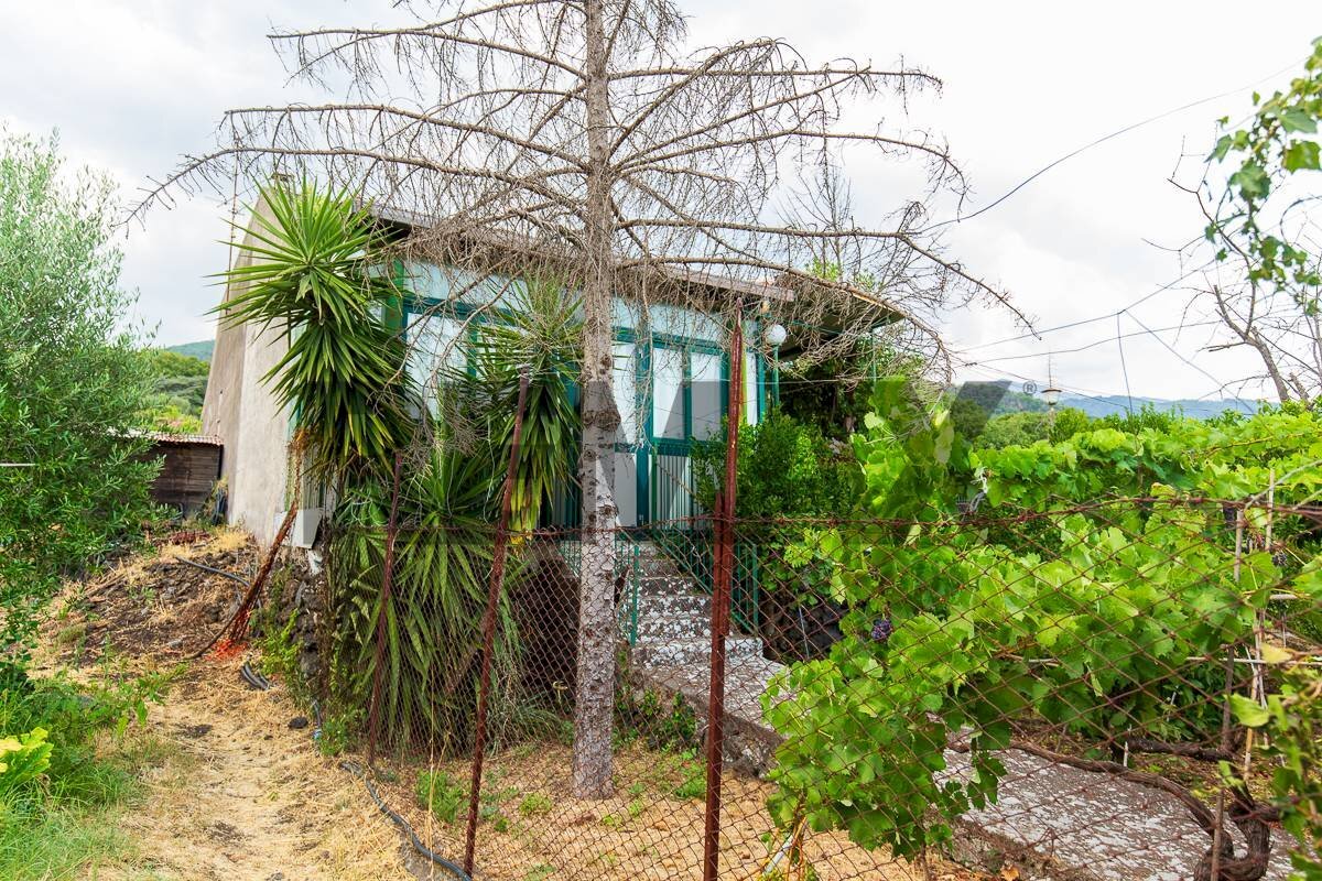 Giardino - Casa indipendente Via Sarro Civita
 
32, Zafferana Etnea - foto 1