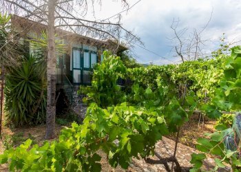 Giardino - Independent house Via Sarro Civita
 
32, Zafferana Etnea - photo 8