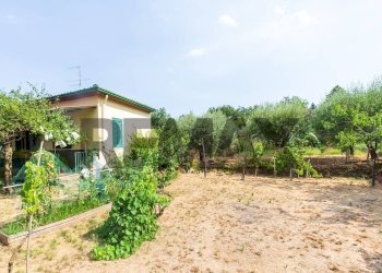 Giardino - Independent house Via Sarro Civita
 
32, Zafferana Etnea - photo 12