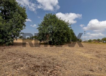 Giardino - Villa Contrada Cugno Lupo
 
SNC, Noto - photo 67