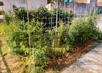 Giardino - Villa Via Cegino
 
68, Massarosa - foto 48