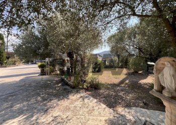 Giardino - Casa semi indipendente Via Moleta
 
09, Alvignano - foto 5