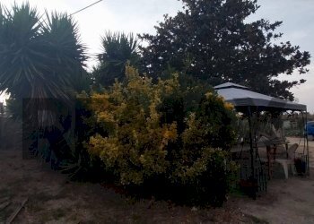 Giardino - Villa Via Torre Scafati
 
50, Giugliano in Campania - photo 8