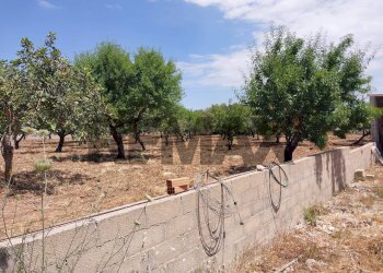 Giardino - Appartamento contrada aurnia brizza
 
snc, Modica - foto 4