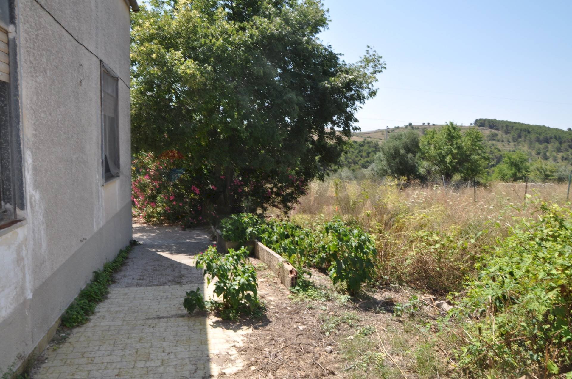 Giardino - Casa indipendente contrada salinella
 
snc, Ragusa - foto 3