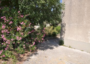 Giardino - Casa indipendente contrada salinella
 
snc, Ragusa - foto 5