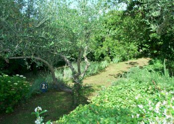 Foto 20 - Semi-detached house Zanego, Ameglia - photo 20
