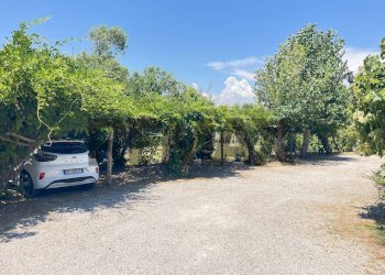 Giardino - Rustico strada migliara 51
 
1565, Sabaudia - foto 9
