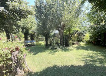 Giardino - Rustico strada migliara 51
 
1565, Sabaudia - foto 11