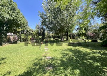 Giardino - Rustico strada migliara 51
 
1565, Sabaudia - foto 16