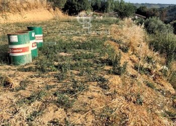 Foto 18 - Villa via croce vicario
 
66, Caltagirone - photo 18