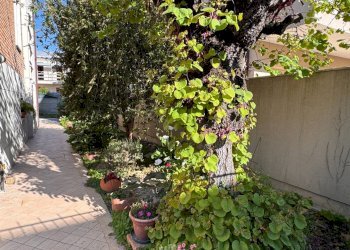 Foto 3 - Villa a Schiera Via Monte San Marco, Ravenna - foto 3