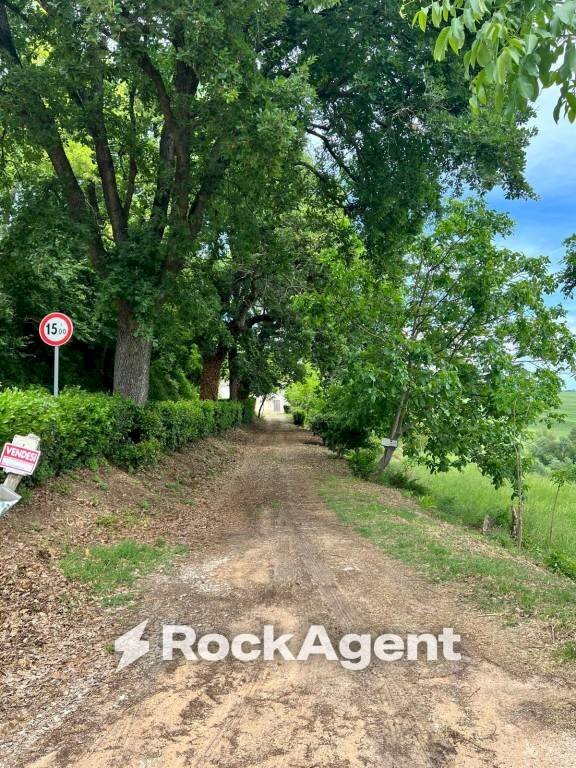Terreno - Rustic contrada Bottaccio, 8, Mondavio - photo 2