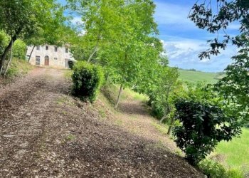 Terreno - Rustic contrada Bottaccio, 8, Mondavio - photo 13